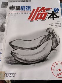 基础美术训练教材：素描静物临本1