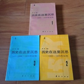 历史在这里沉思1966～1976年记实。1一3