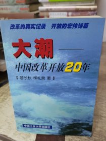 大潮—中国改革开放20年