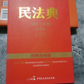 图解漫画版民法典（实用一本通）