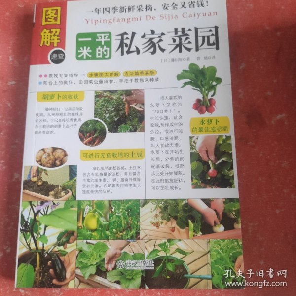 一平米的私家菜园