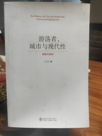 （飞机盒+珍珠棉快递包邮）游荡者城市与现代性(理解本雅明)