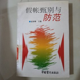 假帐甄别与防范