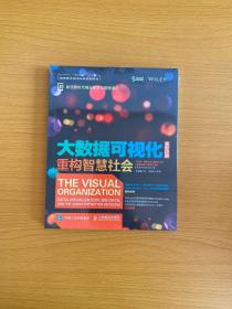 大数据可视化：重构智慧社会