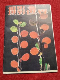 摄影世界期刊1985/3