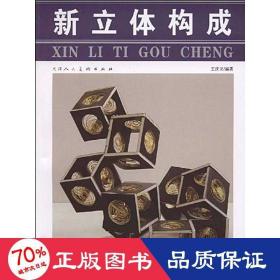 新立體構(gòu)成 藝術(shù)設(shè)計 王慶功