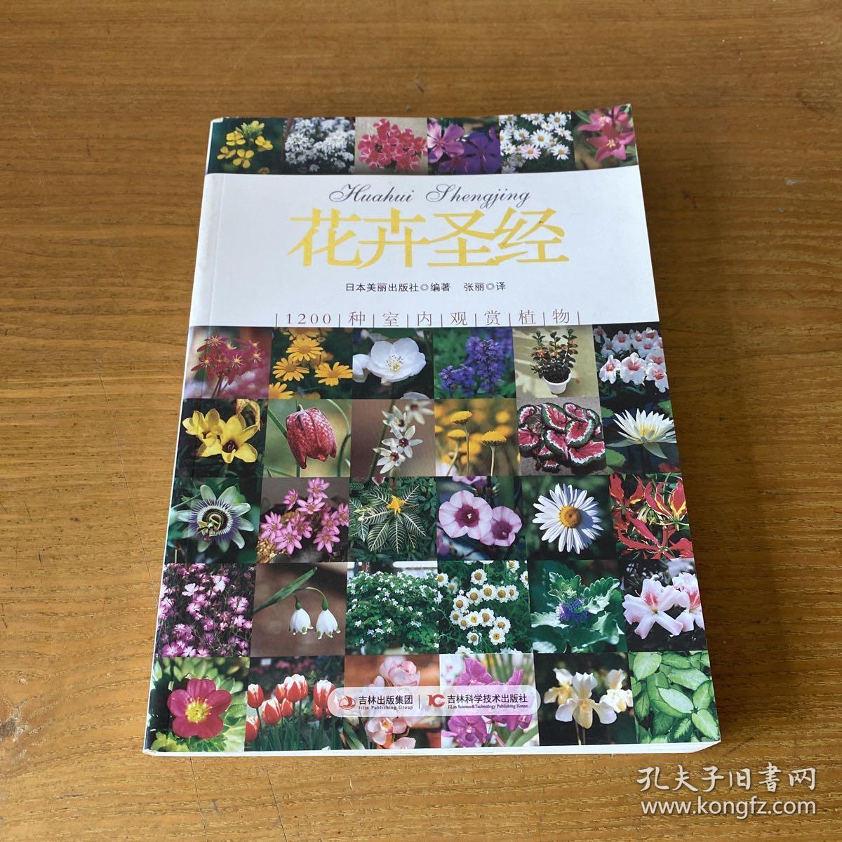 花卉圣经：1200种室内观赏植物【实物拍照现货正版】