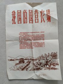 新华社 新闻展览照片1961年11月 我国的国营农场（ 照片30张；8开宣传画一张；对应照片文字说明书29页）