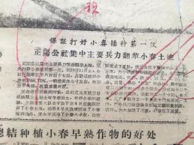 1961年10月，《黔江报》第426期，4开，审稿版，【坚持因地制宜，抓早又抓好】【抓紧时间，早种多种大麦】