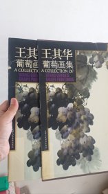 王其华葡萄画集