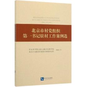 北京市村党组织第一书记驻村工作案例选