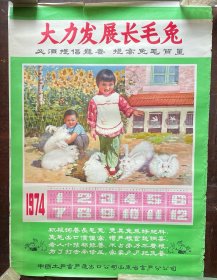 1974年年历（大力发展长毛兔）