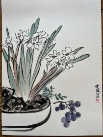 纯手绘 国画精品 水仙花 宣卡