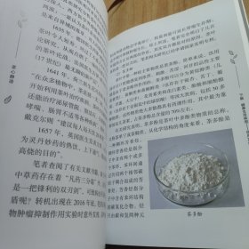 茶心静语