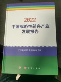 2022中国战略性新兴产业发展报告
