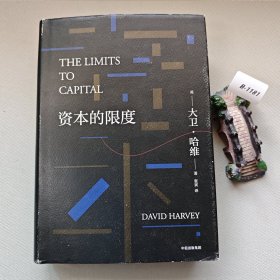 资本的限度