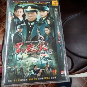 黑玫瑰：大型谍战电视连续剧DVD-9光盘2张)