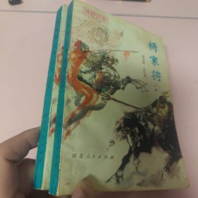 杨家将（上下册）