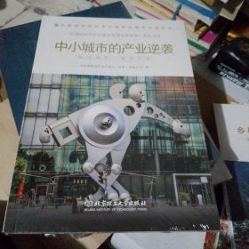 中小城市的产业逆袭/“区域和城市规划建设管理优秀案例”系列丛书