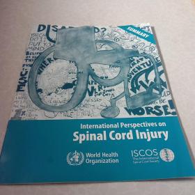 现货，下单就发货，International Perspectives on Spinal Cord Injury