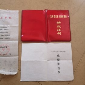 1981年，许亮（江苏省淮阴农业学校结业证书，成绩报告单）