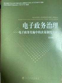 电子政务治理：电子政务实施中的决策制度安排（包邮）