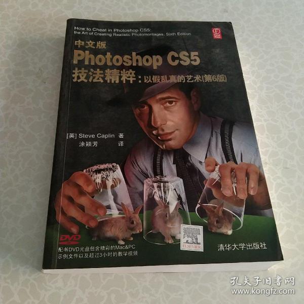 中文版Photoshop CS5技法精粹：以假乱真的艺术（第6版）