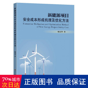 新能源项目安全成本形成机理及优化方法