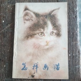 怎样画猫