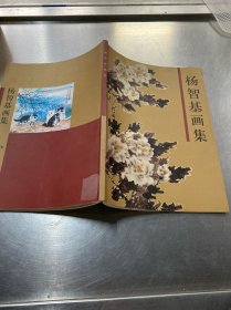 杨智基画集