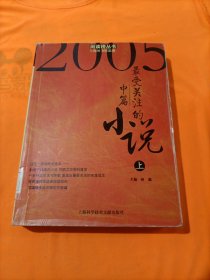 2005最受关注的中篇小说上