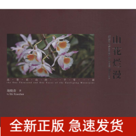 山花烂漫
