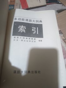 多功能汉语大词典索引