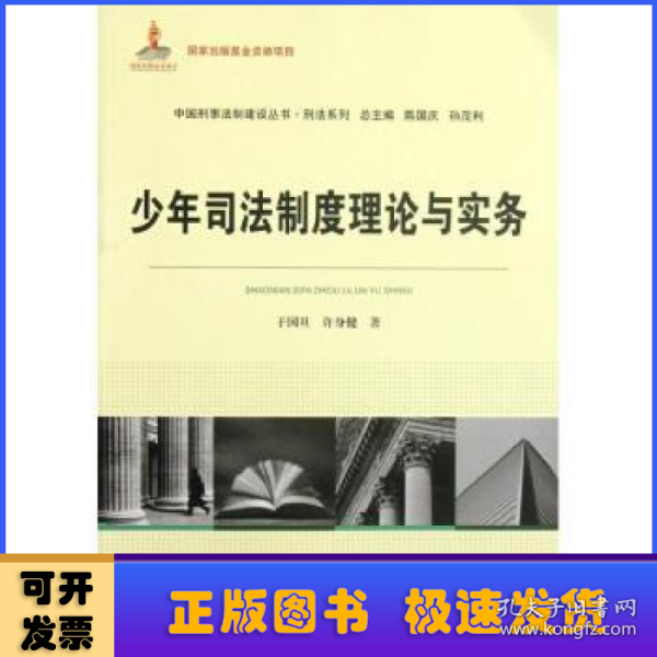 国家出版基金资助项目·中国刑事法制建设丛书·刑法系列：少年司法制度理论与实务