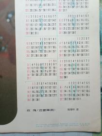 1981年历画 玫瑰  芭蕾舞剧