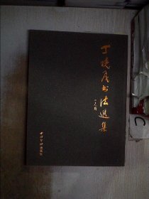 丁晓飞书法选集..