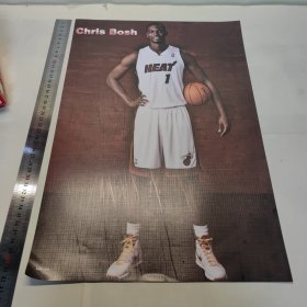 NBA波什海报