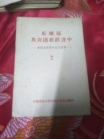 东城区共青团在跃进中 财贸系统青年标兵专辑 7