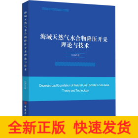 海域天然气水合物降压开采理论与技术