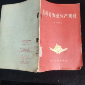 怎样订农业生产规划