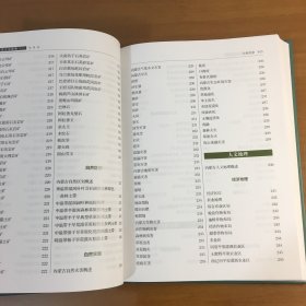 内蒙古大辞典（第二版） 地理卷