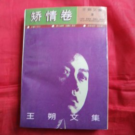 王朔文集 矫情卷