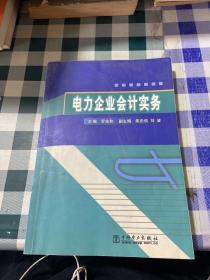 電力企業(yè)會(huì)計(jì)實(shí)務(wù)