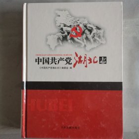 中国共产党湖北志 志80-16