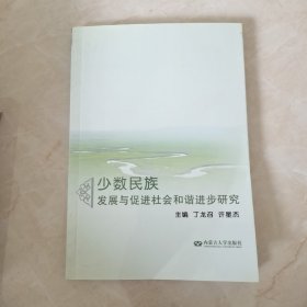 少数民族发展与促进社会和谐进步研究