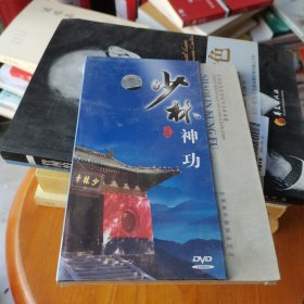 少林神功 中国民间传统武术经典套路DVD