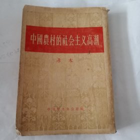 中国农村的社会主义高潮