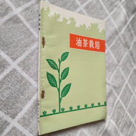 油茶栽培