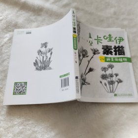 卡哇伊素描：24种美丽植物