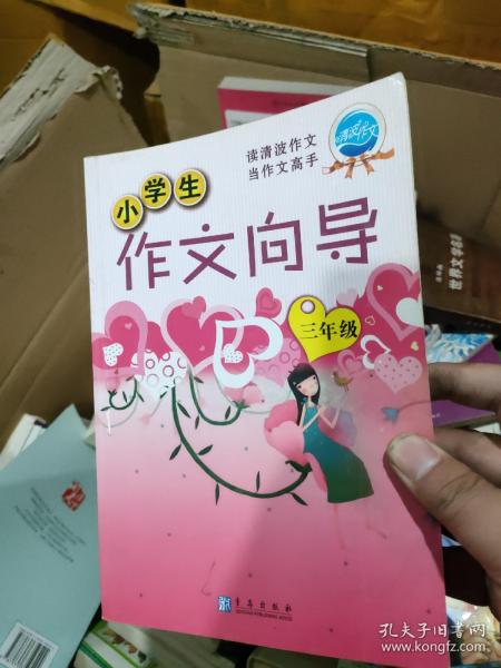 新课标小学生作文向导（三年级）